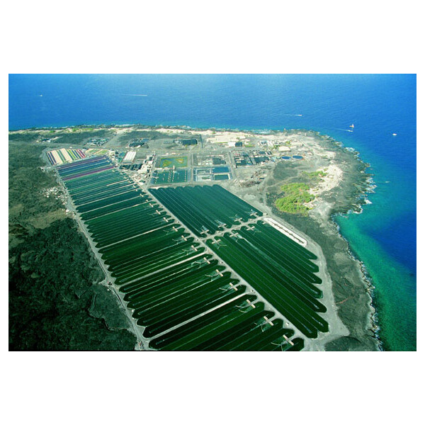 Hawaiian Spirulina 1250 Tabletten - Nachfllpackung