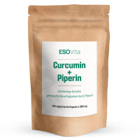Curcumin + Piperin Extrakt Kapseln 100 Stück à 380 mg